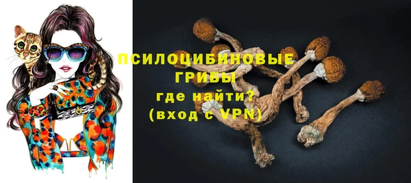 крисы Домодедово