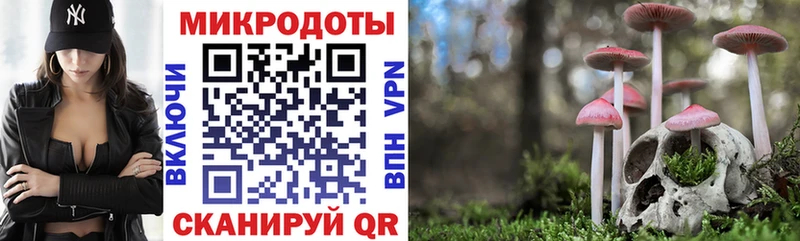 Псилоцибиновые грибы Psilocybine cubensis  Ильский 